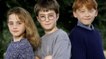 Daniel Radcliffe could very well owe his whole career to one famous actress