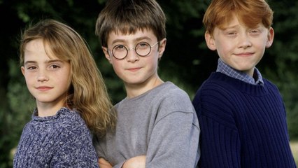 Daniel Radcliffe could very well owe his whole career to one famous actress