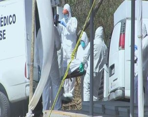 At least 45 bodies dumped in Mexican mass grave