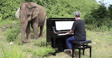 He Starts Playing The Piano For A Blind Elephant In Thailand And Something Truly Beautiful Happens