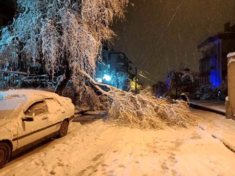 Yoğun kar yağışına dayanamayan ağaç dalları kırılarak anayolu kapattı