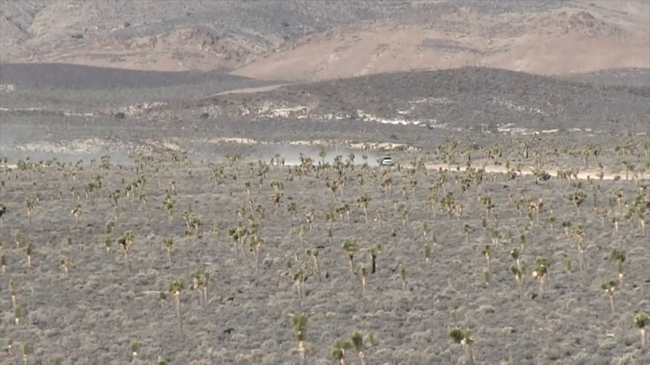 Area 51: very clear footage has been leaked on the internet