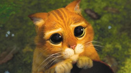 The 5 Signs That Prove You're Hypersensitive