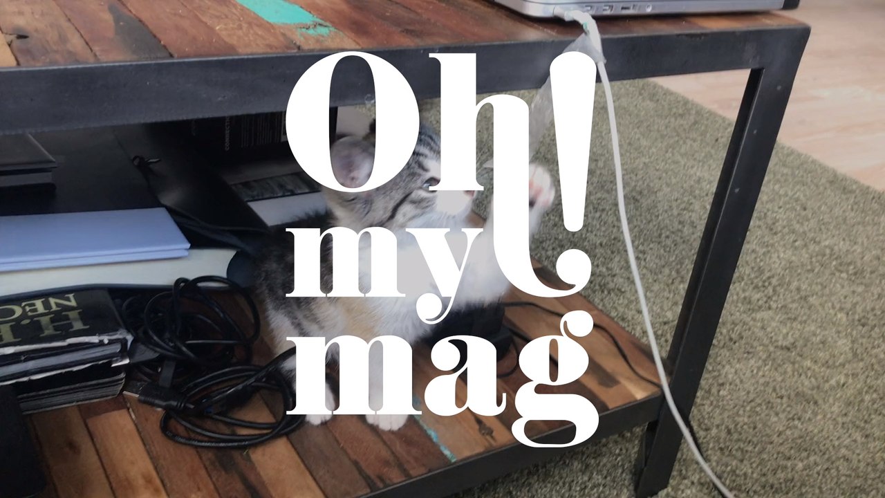 Diese Häschen haben eine Mission: Beweisen, dass sie süßer sind als Katzenbabys