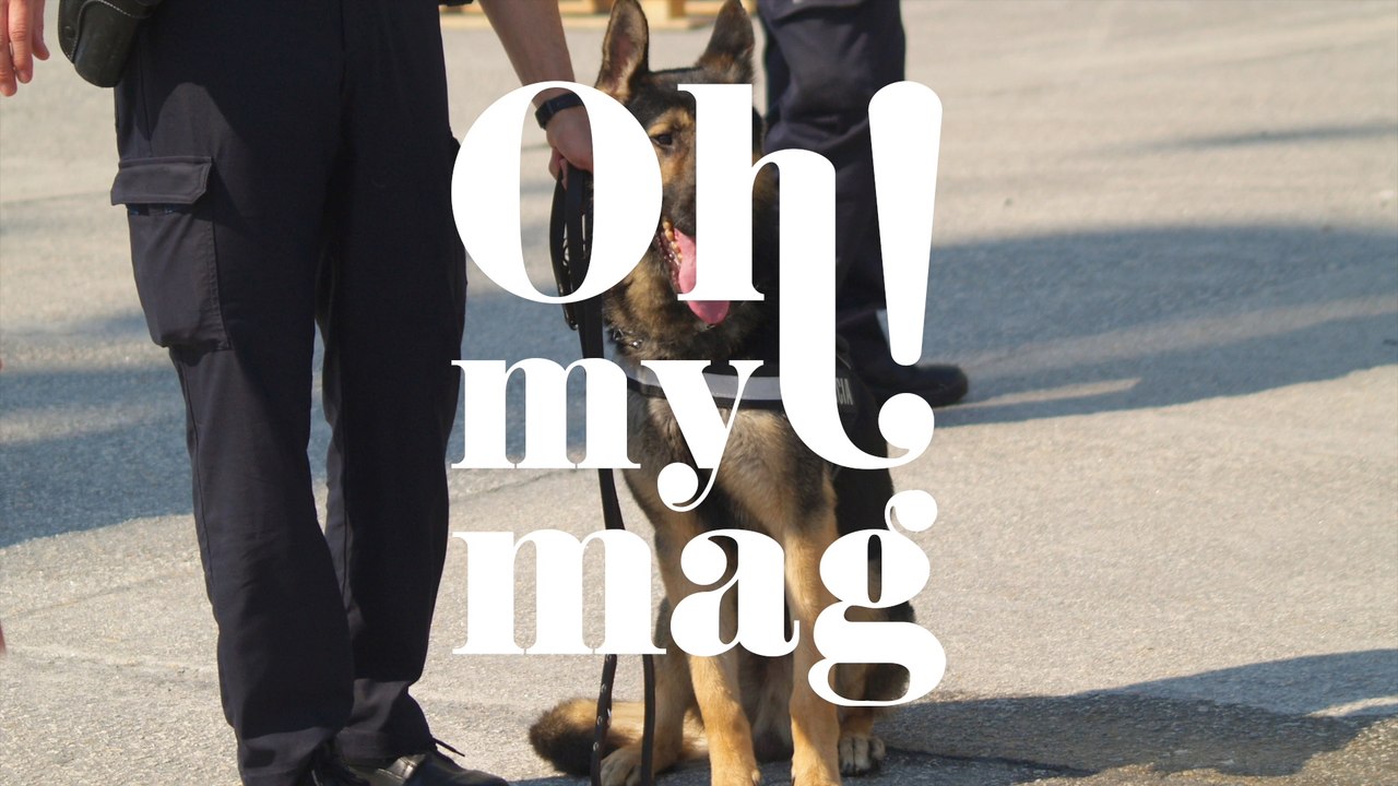 Bombenspürhund rettet 30 Soldaten: So dankt es ihm einer der Männer