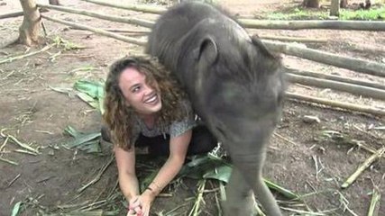 This Baby Elephant Loves Her Keeper So Much... What Happens Next Will Melt Your Heart
