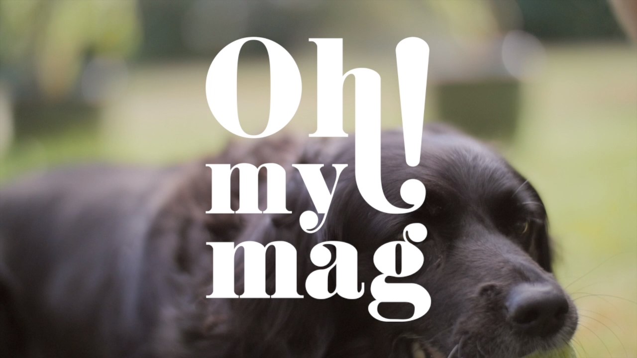 Alarmierendes Verhalten: Wenn dein Tier das tut, ist sofortiges Handeln erforderlich!