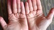 This is what the lines on your hands really mean