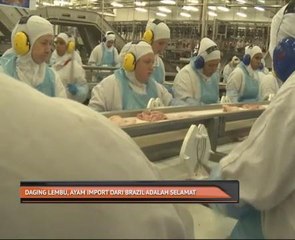 Daging lembu, ayam import dari Brazil adalah selamat