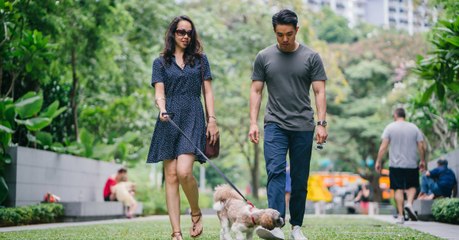 They went out to walk their dog and came back millionaires!