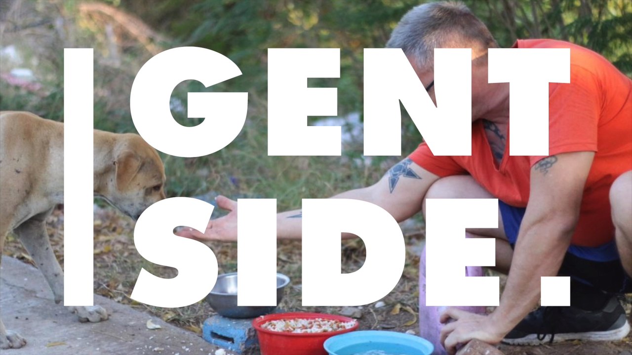 Streuner Milo ist schwer krank: Als er auf Michael trifft, passiert etwas Unglaubliches