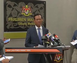 Ayam laga punca wabak H5N1