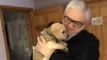A Grieving Grandpa Who Was Gifted A Puppy After Losing His Wife Has The Most Heartwarming Reaction