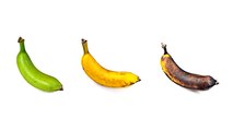 Reif, fleckig oder gelb: Diese Banane aktiviert dein Immunsystem gegen Krebserreger