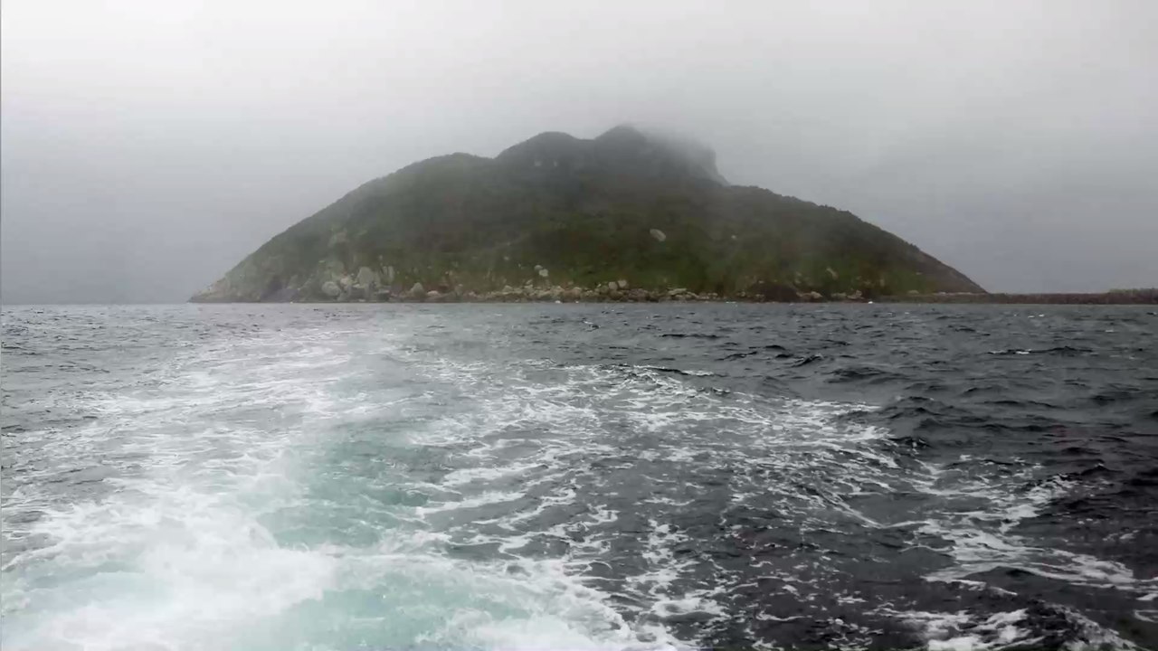 Trotz dunkler Vergangenheit: Diese Insel ist ein Paradies für Tierfreunde