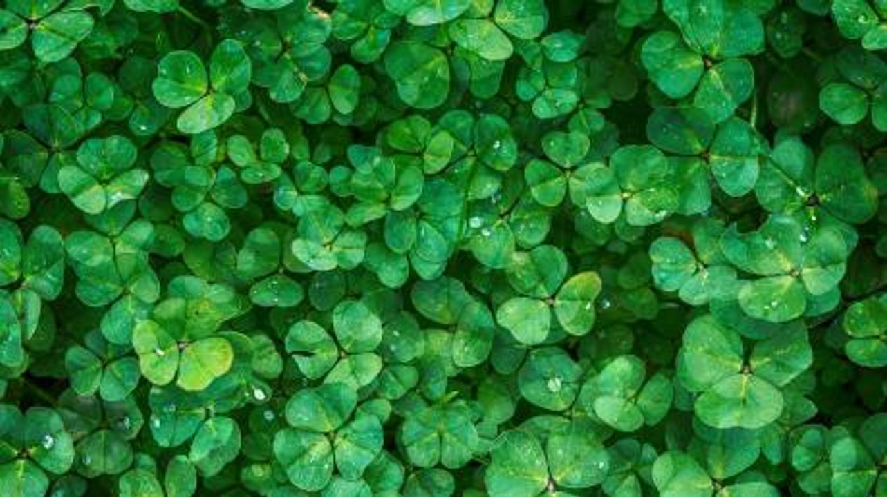 These are the luckiest star signs out there