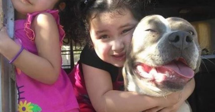 To save his beloved dog this man risked everything