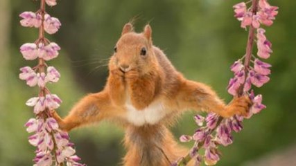 These hilarious wildlife photos were taken at the perfect moment