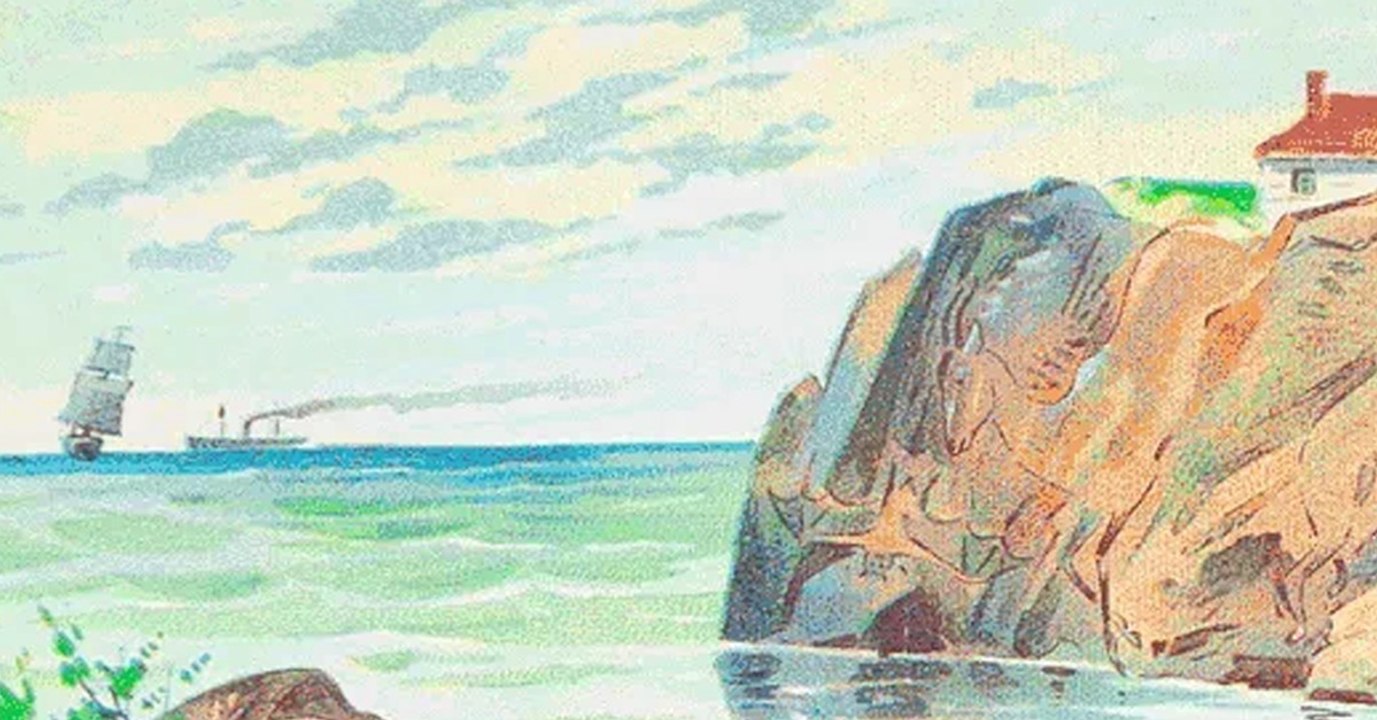 Nur 0,8 % aller Internetnutzer findet alle Tiere in diesem Bild