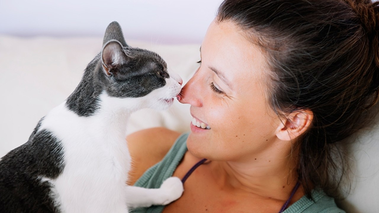 Diese fünf Fehler im Umgang mit Katzen kennt kaum jemand