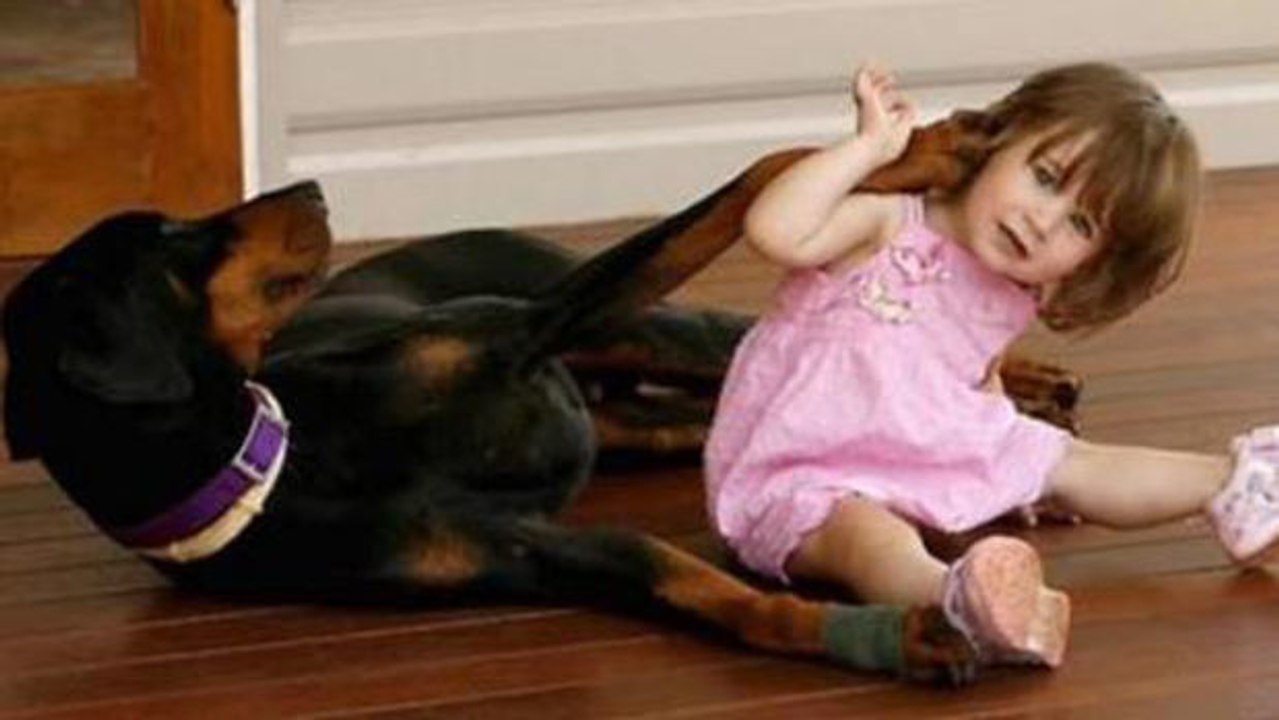 Dobermann spielt mit Tochter: Dann ändert er schlagartig sein Verhalten