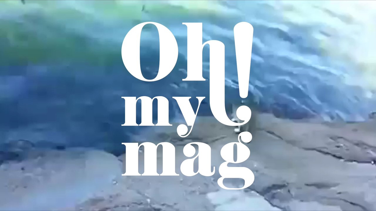 Katze starrt jeden Tag aufs Meer: Der Grund begeistert die Zuschauer