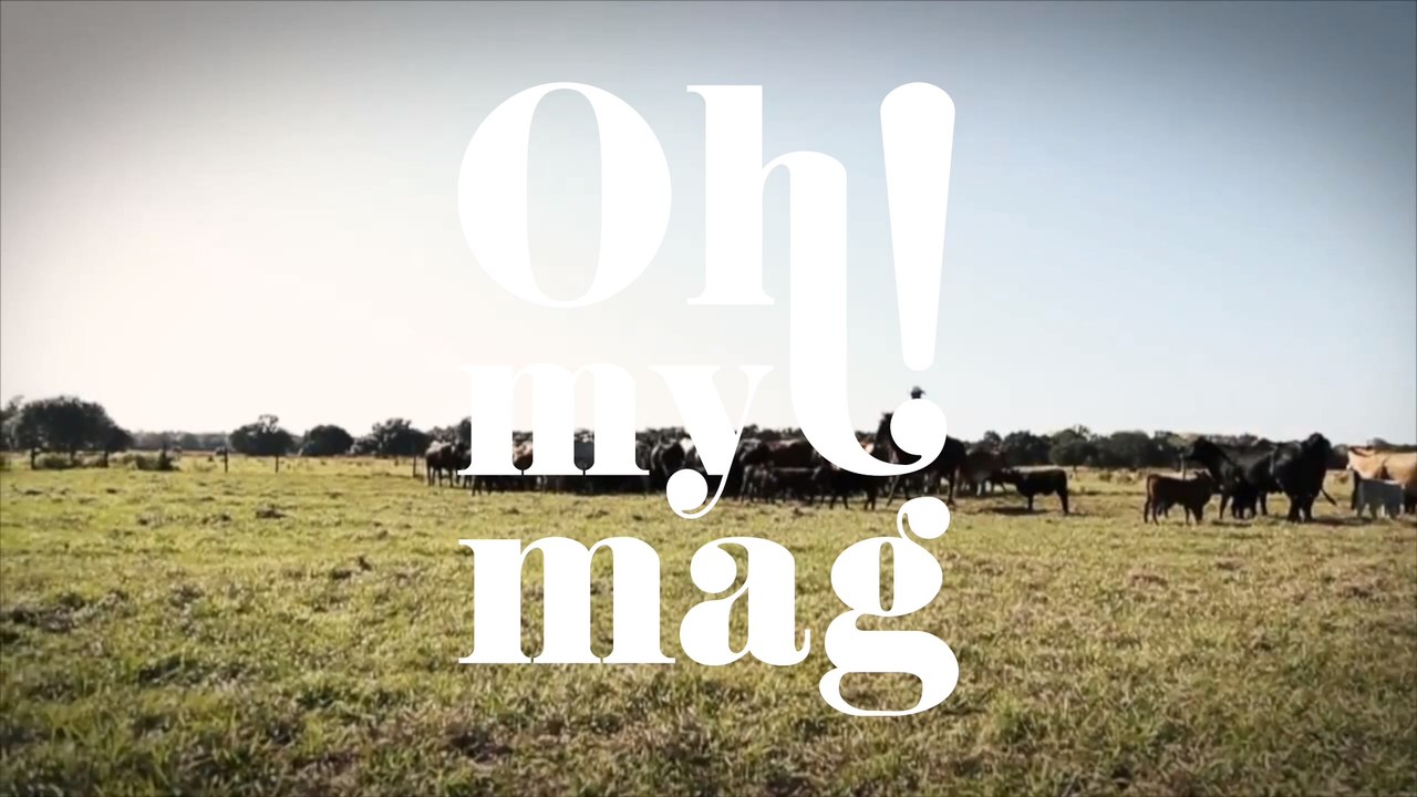 Jäger erlegt Wildschwein: Als er es aufschneidet, erlebt er sein blaues Wunder