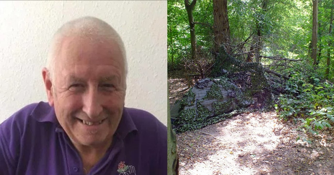 Weil seine Frau ihn nervt: Mann zieht als Einsiedler in den Wald