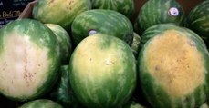 Wassermelone: Nur eine der drei solltest du wirklich kaufen!