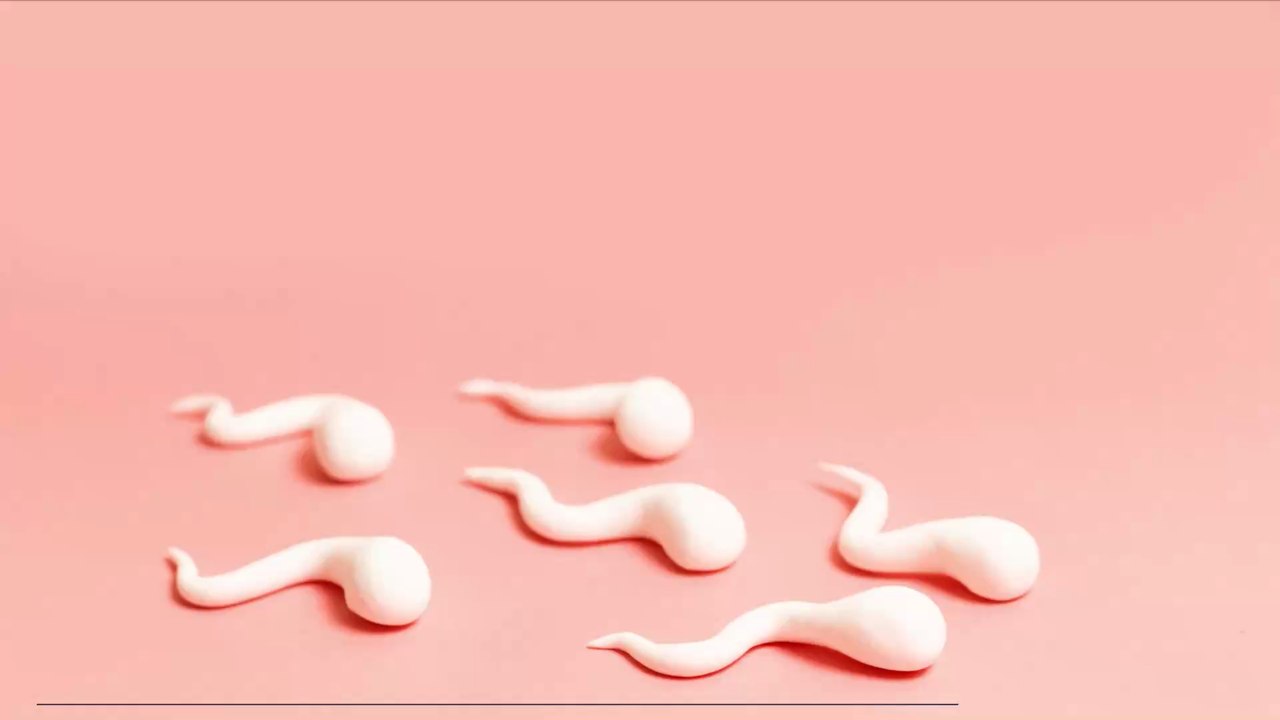 These foods can improve quality of your sperm