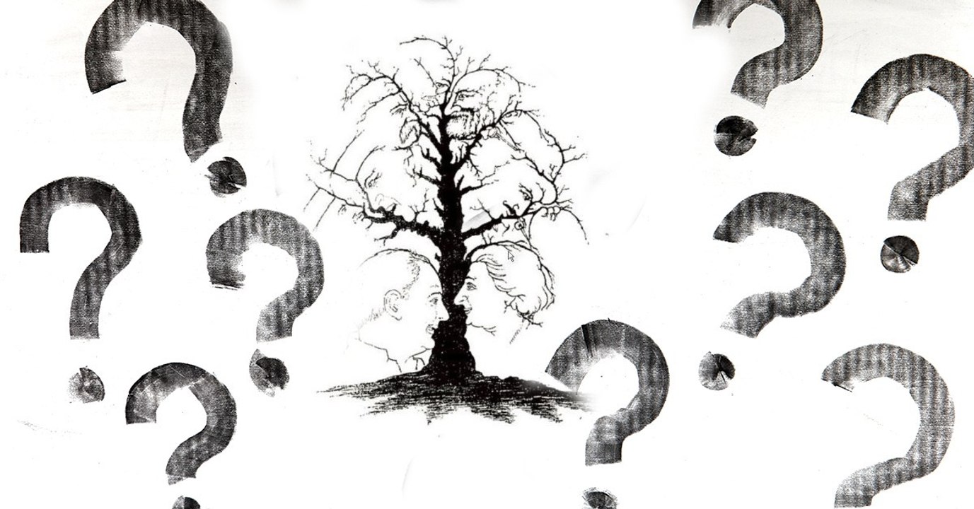 Dieses Bilderrätsel lässt alle verzweifeln: Wie viele Gesichter sind in diesem Baum versteckt?
