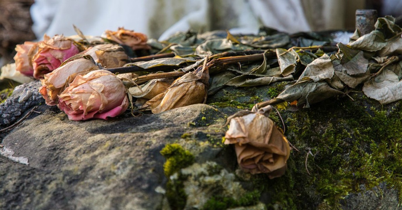 Nicht wegschmeißen: So schenkst du verwelkten Valentinstags-Rosen ein zweites Leben