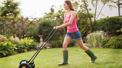 Gartenpflege: Diesen positiven Effekt hat gemähtes Gras auf die Umwelt