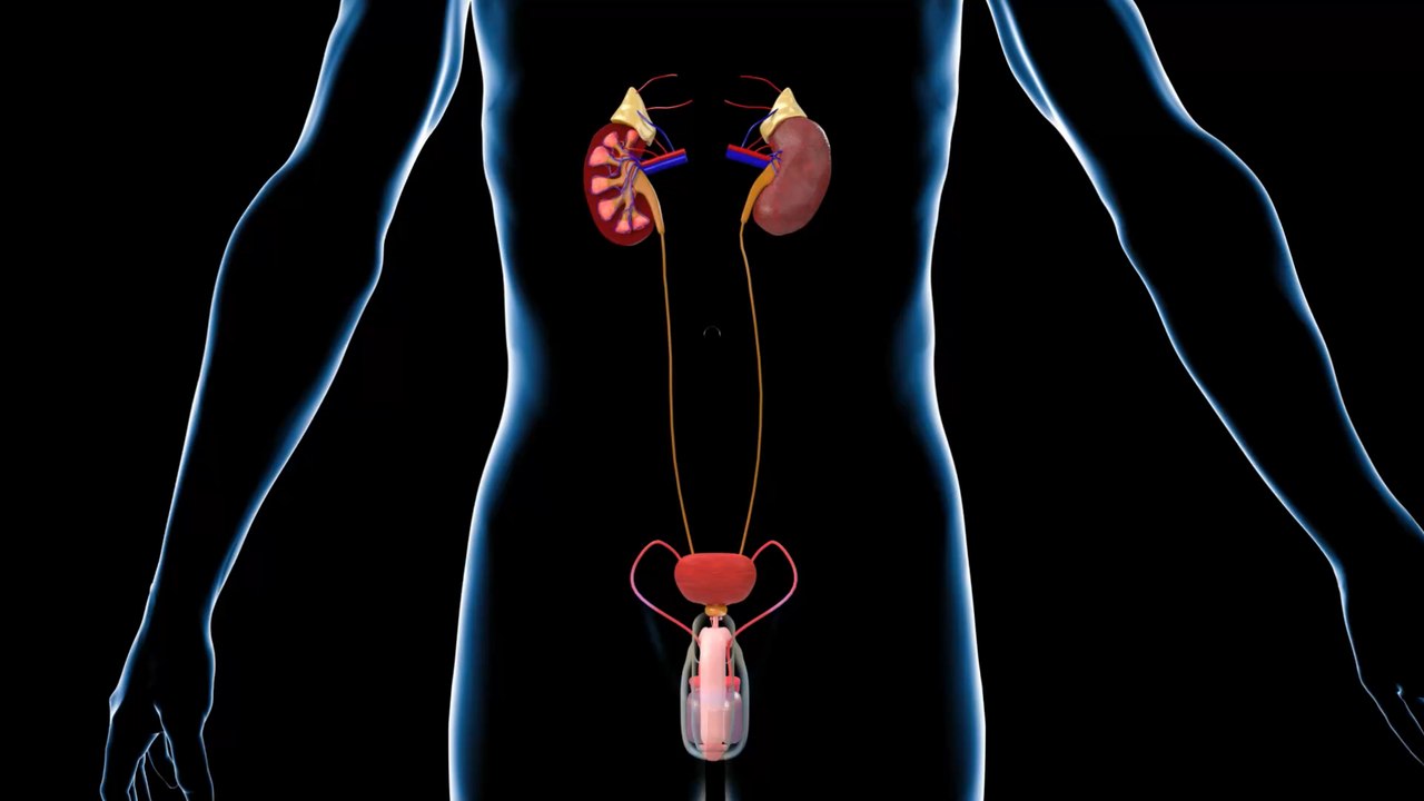 Urethral sounding: Is this extreme sexual act worth the risk?