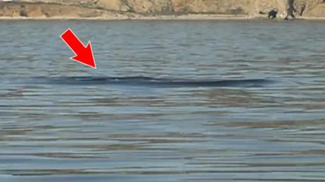 They Were Calmly Filming the Sea When Something Incredible Happened