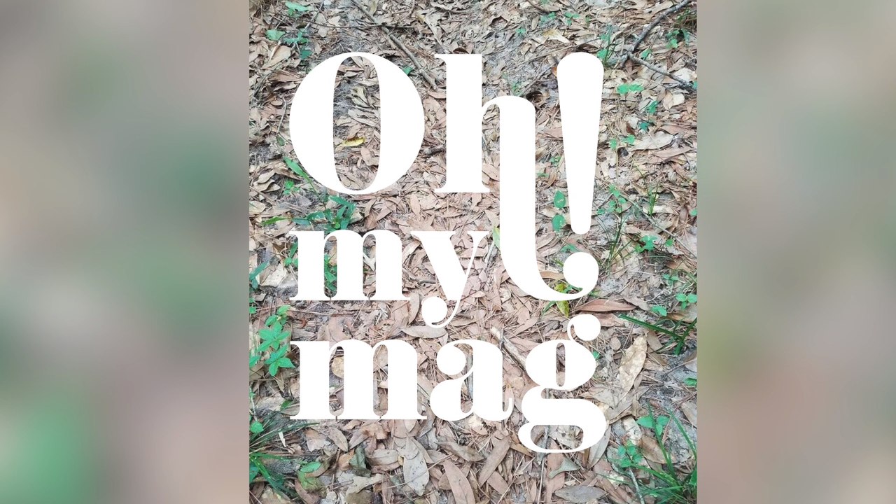 Auf diesem Bild versteckt sich ein hochgiftiges Tier: Kannst du es entdecken?