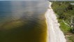 Experts working to predict future red tides along Florida's beaches