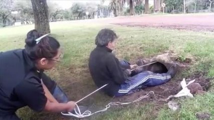 After finding puppies stuck inside a pipe, she executed an amazing rescue mission