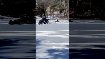 Husky Joins Daughter for ATV Pulled Sled Ride