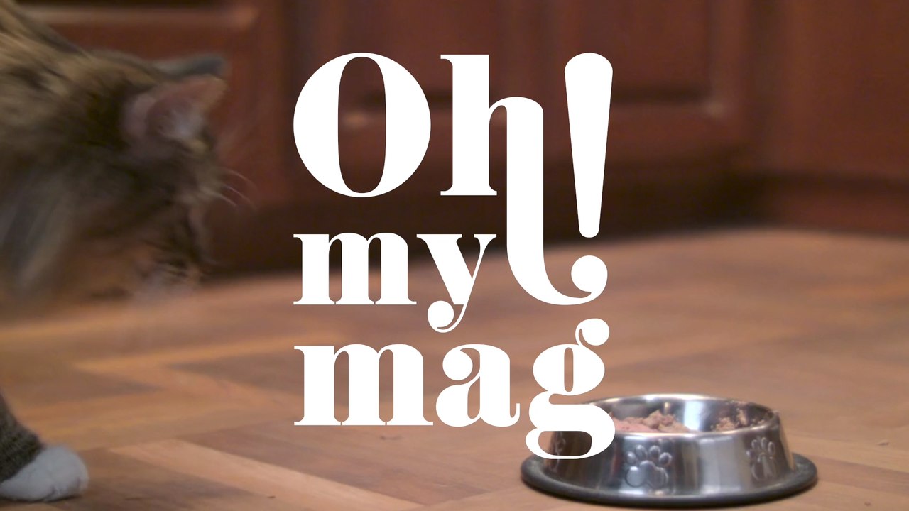 Auf dieses Lebensmittel solltest du bei der Fütterung deiner Katze verzichten