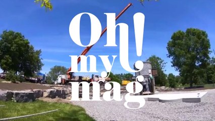 Elderly couple builds their grandchild the most incredible Harry Potter playhouse