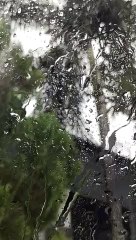 Menikmati suara hujan sambil menunggu di mobil