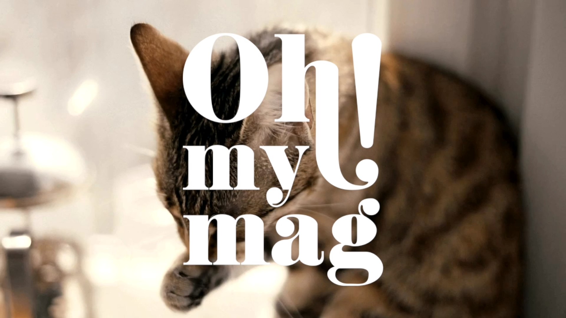 ⁣If Your Cat Grooms Themselves Too Much, It Could Be A Concerning Sign