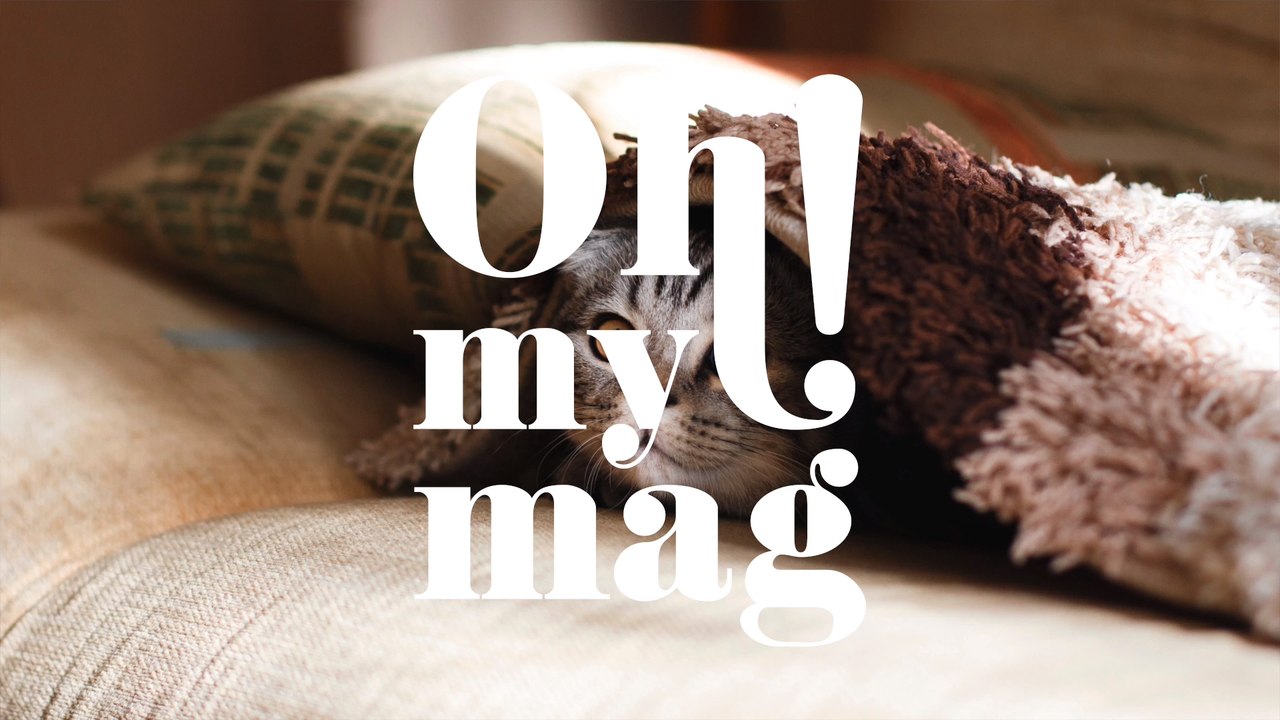 3 Simple Tips To Get Pet Hair Off Your Clothes, Floor And Furniture