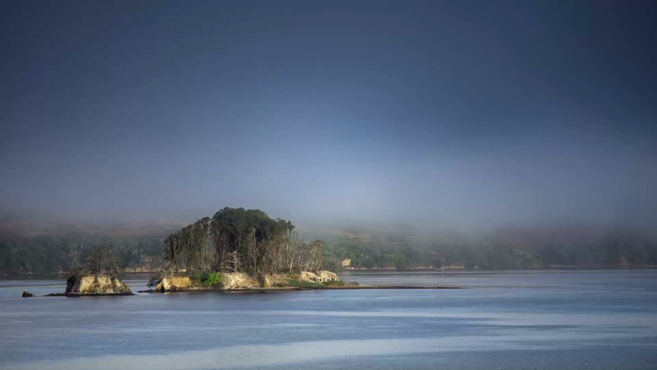 Queimada Grande: Brasilianische Insel wird von gefährlichen Schlangen erobert