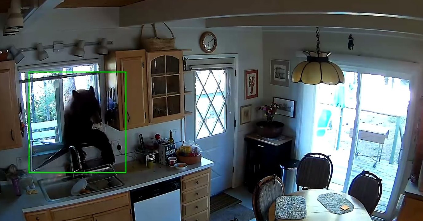 Wegen Süßigkeiten: Paar traut seinen Augen nicht, als es einen Einbrecher auf frischer Tat ertappt