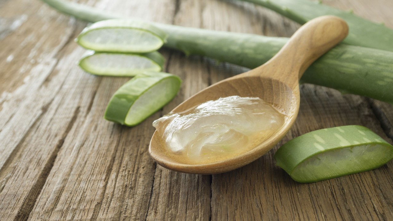 Aloe Vera: So kannst du die Wunderpflanze gezielt in der Schönheitspflege einsetzen