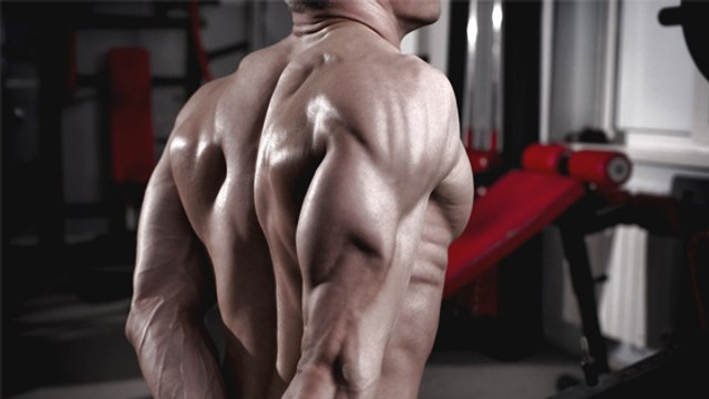 Mit diesen vier Supersets trainiert ihr euren Trizeps besonders effizient