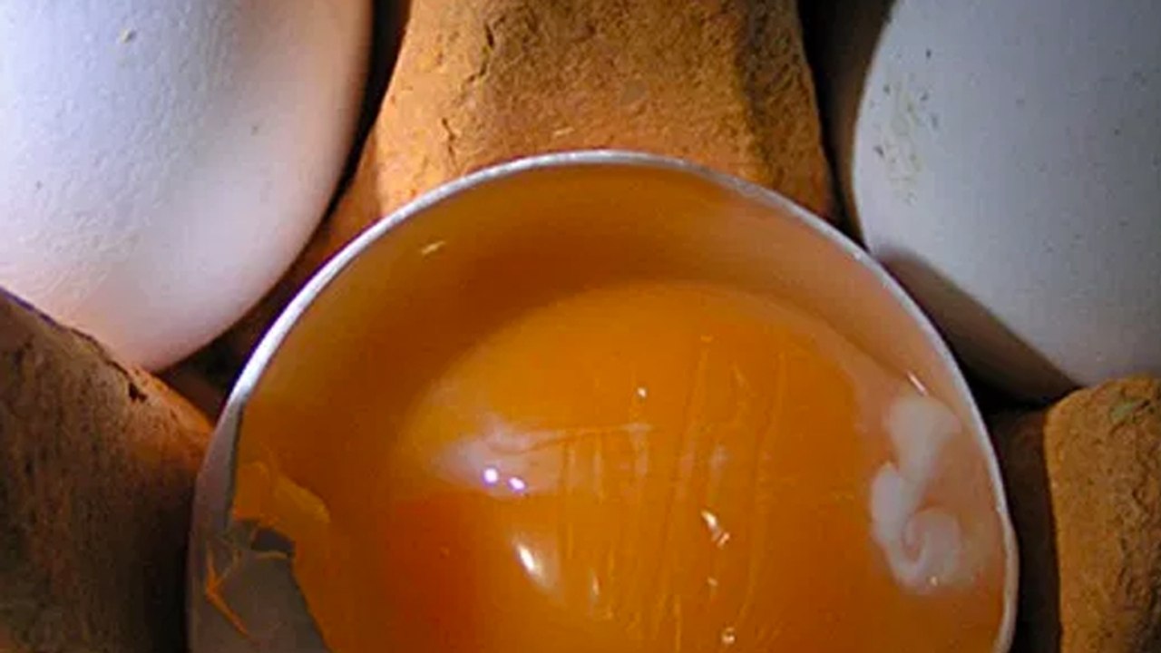 MHD: Diese Lebensmittel kann man auch nach Ablauf des Mindesthaltbarkeitsdatum noch verzehren