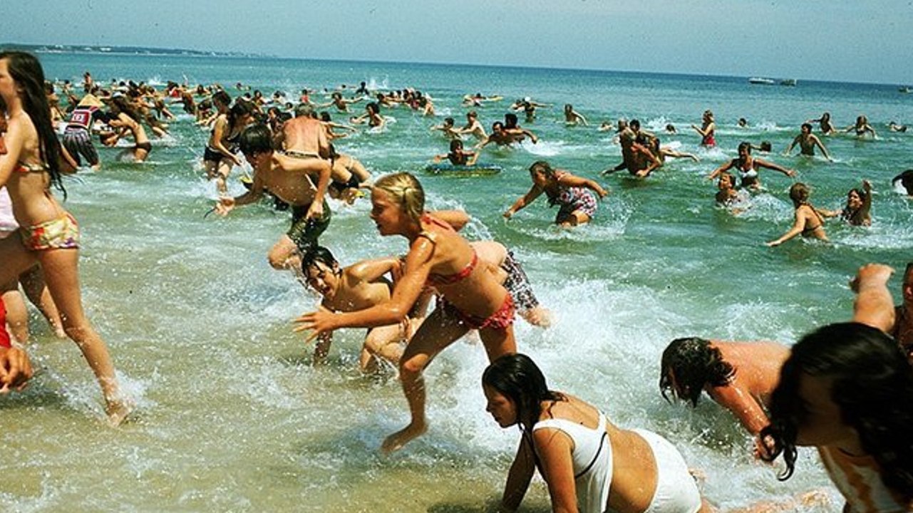 Schlimmer als ein Hai-Angriff: Diese Lebewesen sind die wahre Gefahr, die im Wasser auf dich wartet!
